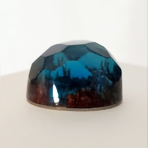 Secret Wood Turtle Jewely Set + 4 Shells - Picture 7 of 12